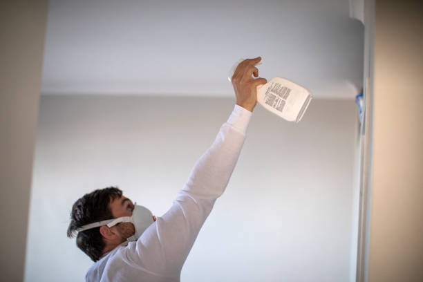 Best Best Mold Removal Companies  in Olivarez, TX