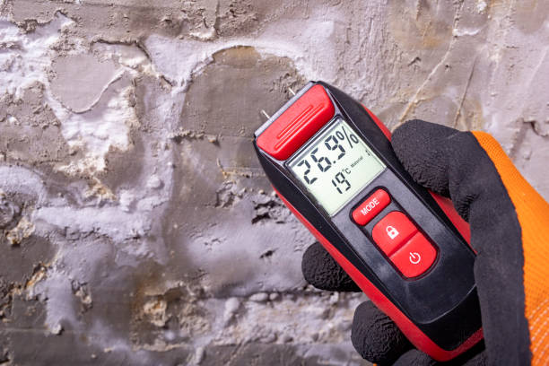 Best Office Mold Removal Services  in Olivarez, TX
