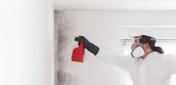 Best Emergency Mold Removal  in Olivarez, TX