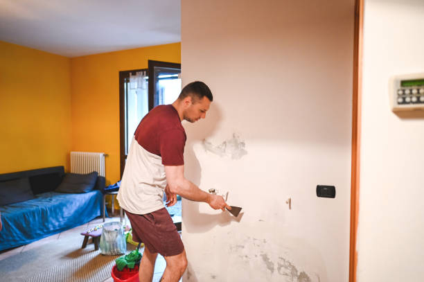 Best Residential Mold Removal  in Olivarez, TX