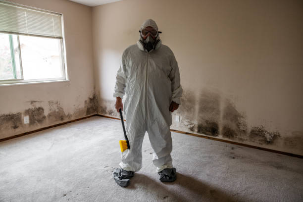 Best Mold Remediation Services  in Olivarez, TX